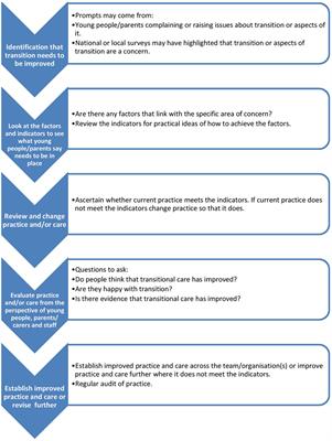 “We Sometimes Hold on to Ours” – Professionals’ Views on Factors that both Delay and Facilitate Transition to Adult Care